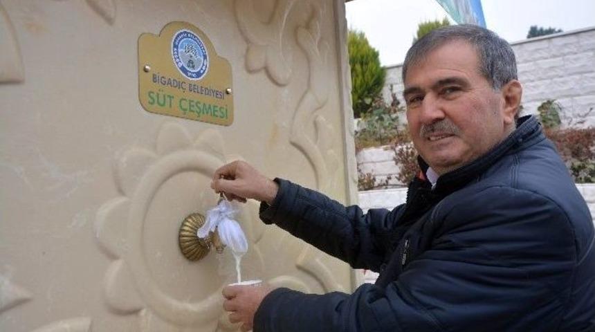 Bigadi&ccedil;&rsquo;in &Ccedil;eşmelerinden S&uuml;t Akıyor