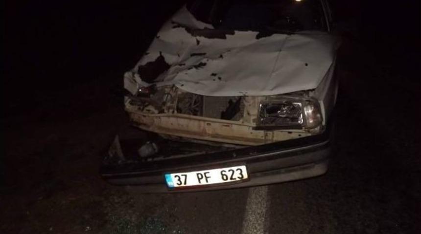 Otomobilin &Ccedil;arptığı At Telef Oldu