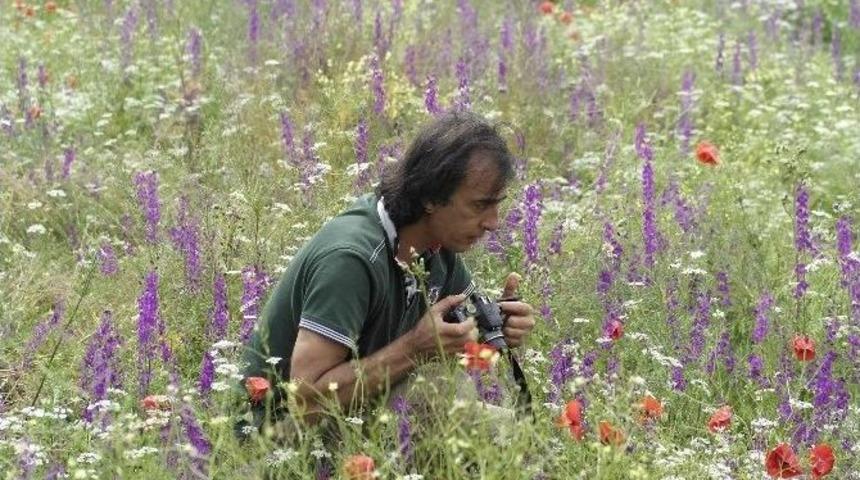 Frig Vadileri &Ccedil;i&ccedil;ek A&ccedil;ıyor