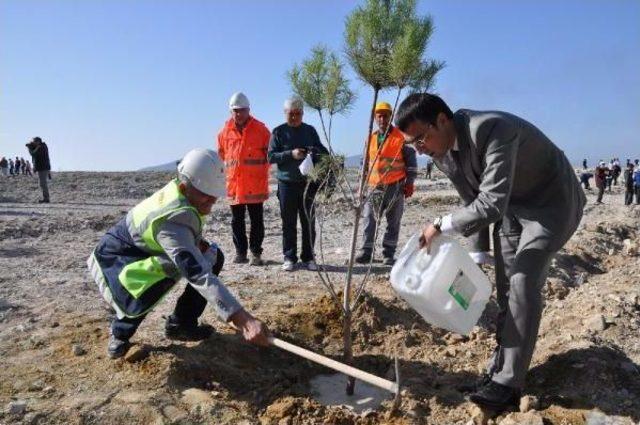 Kömür Sahası 15 Temmuz Ve Şehit Polis Fethi Sekin Ormanına Dönüşecek