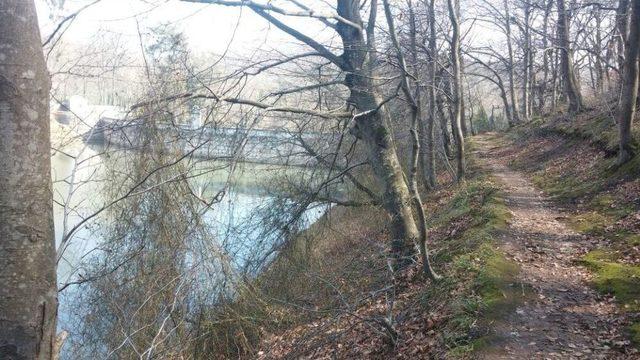 Kayıp Gencin Cesedi Belgrad Ormanı’nda Bulundu