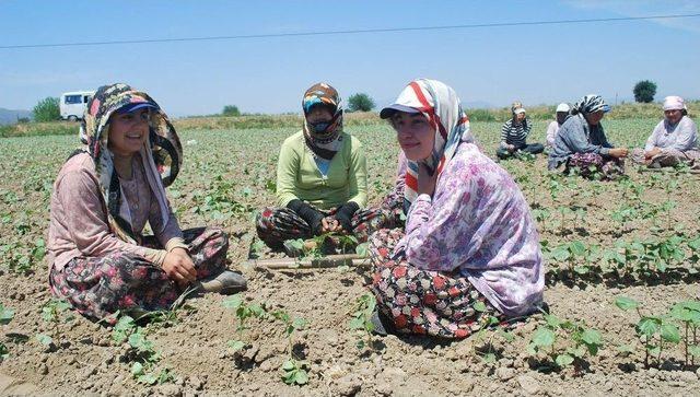 Ziraat Odası Başkanı Posacı’dan Genç Kızlara Çağrı