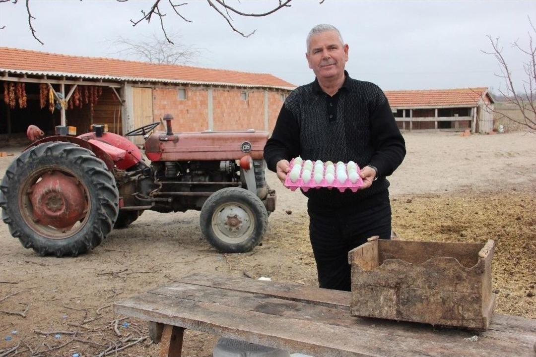 Bıldırcın Yumurtası &lsquo;out&rsquo;, Yeşil Yumurta &lsquo;in&rsquo;