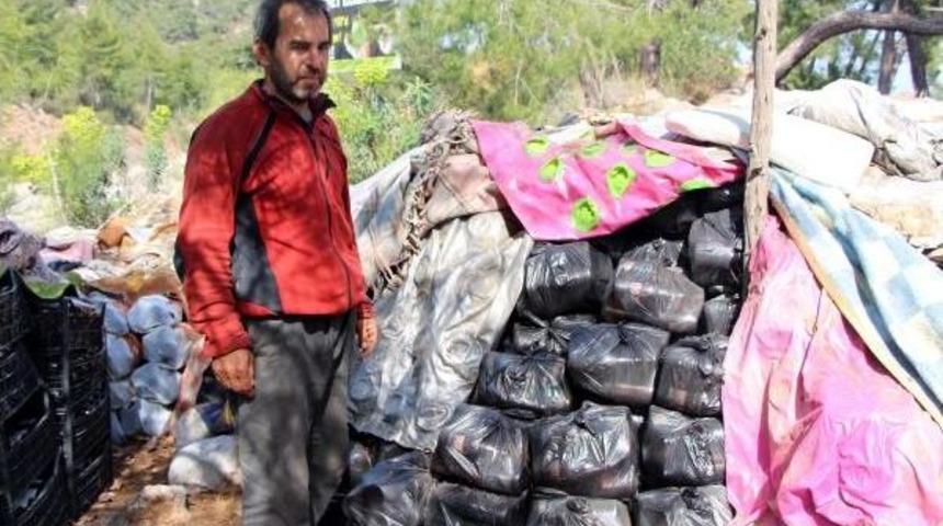 Ormanda 9 Yılda 100 Bin Cam Şişe Topladı