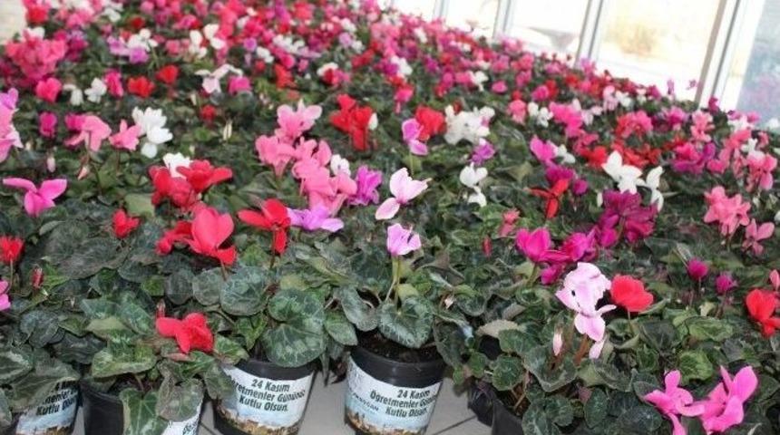 Başkan Akdoğan&rsquo;dan &Ouml;ğretmenlere &Ccedil;i&ccedil;ek Jesti