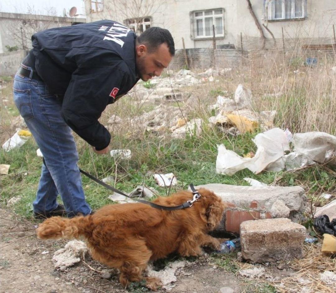 Narkotik K&ouml;peği Coco, Taş Altından Uyuşturucu Zulası Buldu