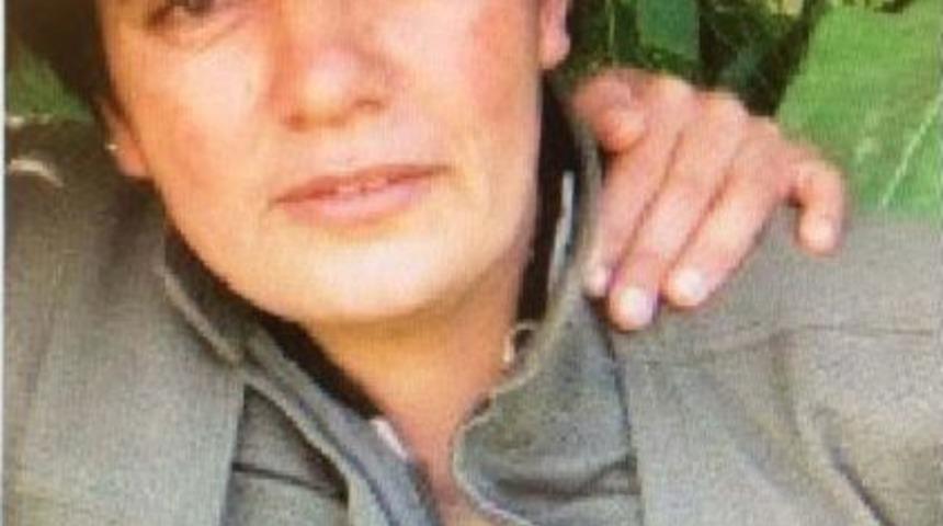 Başına 1.5 Milyon &Ouml;d&uuml;l Konulan Pkk'lı Ter&ouml;rist Etkisiz Hale Getirildi