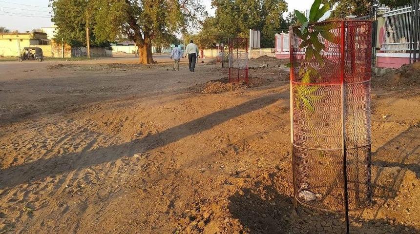 Sudan&rsquo;da Mango Meyvesi Tanıtım Ve Yetiştiriciliğine Destek