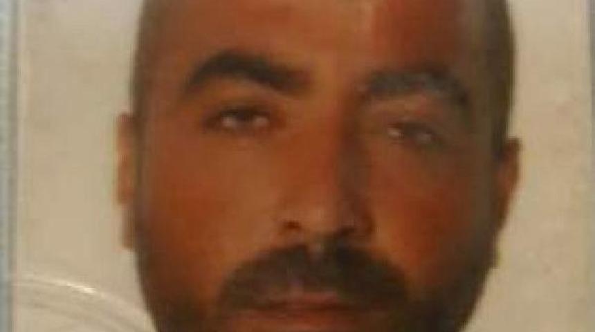 Otomobil Tarandı, S&uuml;r&uuml;c&uuml; &Ouml;ld&uuml;