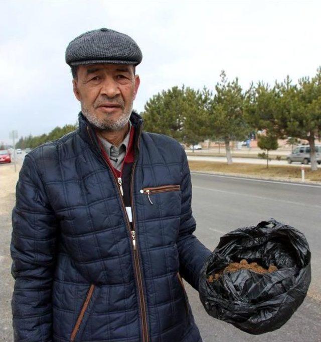 Rüyasında Gördüğü Halisdemir'in Mezarı Ziyaret Için Yola Çıktı