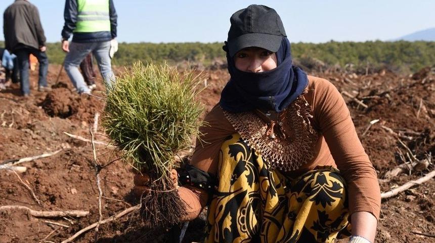 Eskişehir&rsquo;de İlkbahar Fidan Dikimlerine Başlandı
