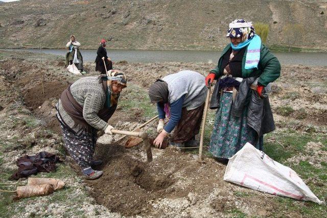 Eskişehir&rsquo;de İlkbahar Fidan Dikimlerine Başlandı 2