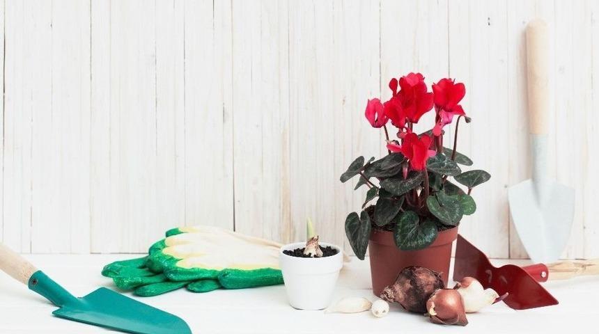 Minikler &Ccedil;i&ccedil;ek Dikimini &Ouml;ğrenecek