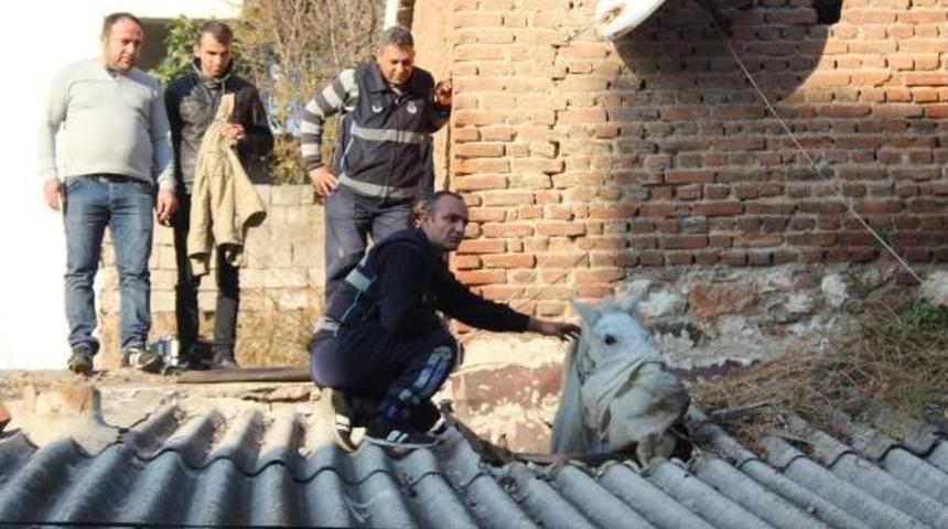 &Ccedil;atıdan At D&uuml;şt&uuml;