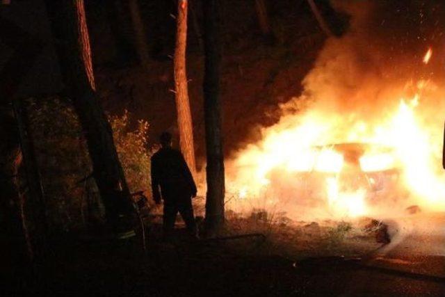 Kazada Devrilen Direk Yangın Çıkardı, Otomobil Kül Oldu