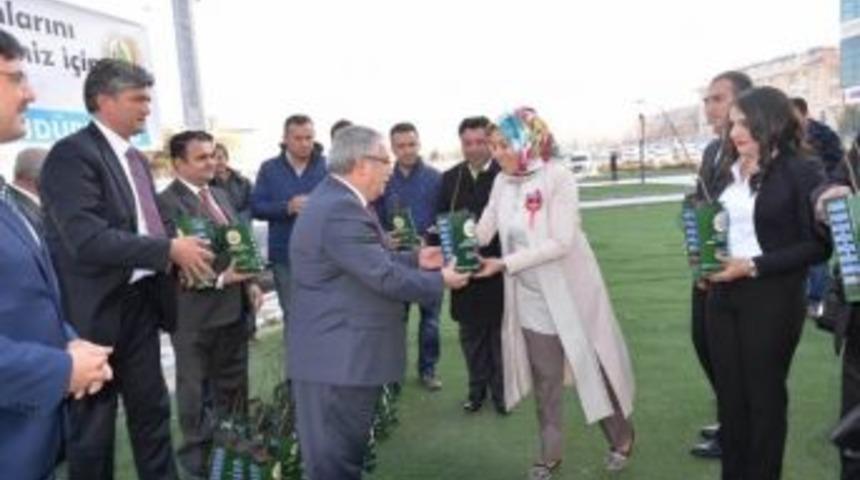 &Ouml;ğretmenlere 2 Bin 23 Ceviz Fidanı