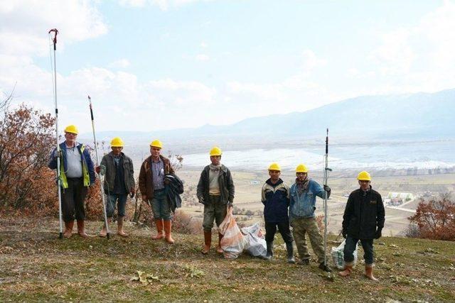 Kütahya Orman Bölge Müdürlüğü Çam Kese Böceğine Savaş Açtı