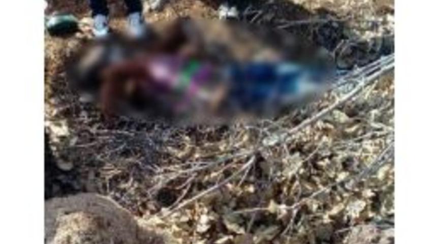 Sınırda Ceset Bulundu