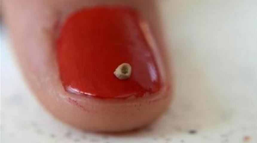 8 bin yıllık boncuk taneleri bulundu