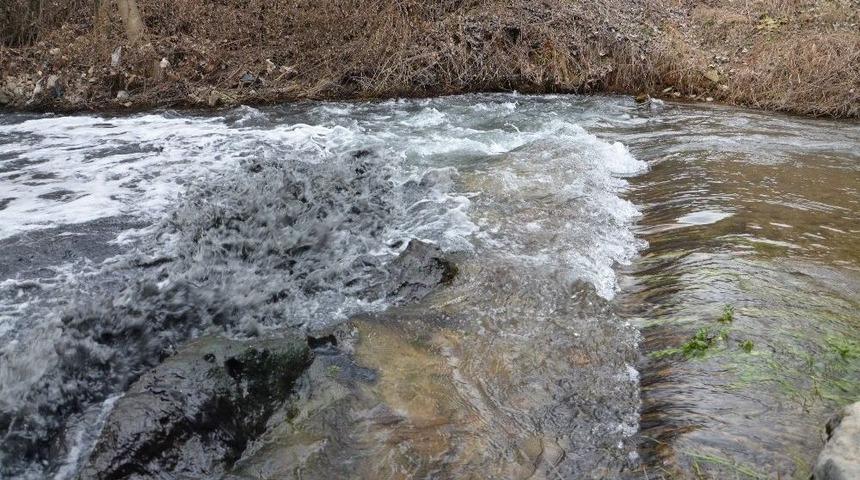 Atık Sudan Dolayı Hayvanların Telef Olup, &Ccedil;ocukların Hastalandığı İddia Edildi