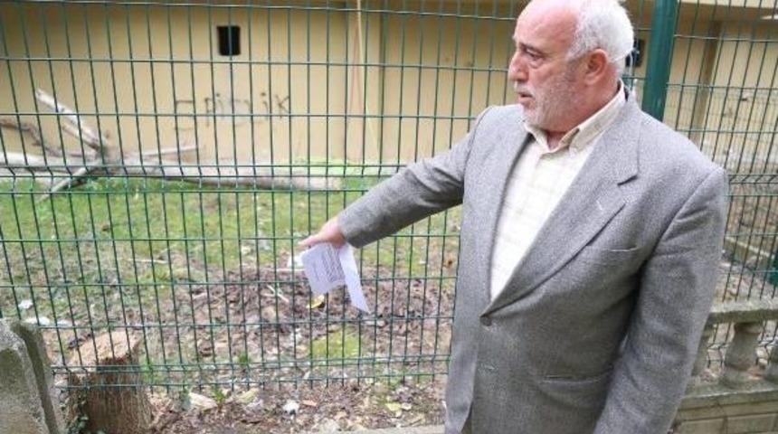 Ağa&ccedil;ları Kesen Komşusundan Şikayet&ccedil;i Oldu