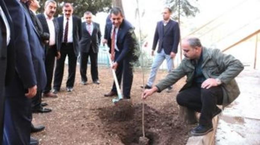 &Ouml;ğretmenler G&uuml;n&uuml; Anısına Fidan Dikimi