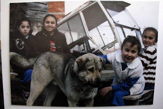 Samsun’da Minik Öğrencilerden Büyüleyen Fotoğraf Sergisi