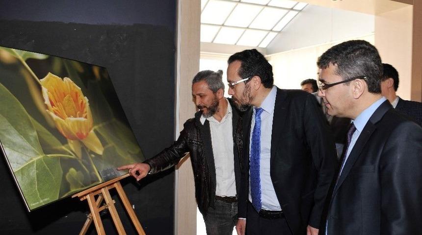 Kamp&uuml;s&uuml;n Renkleri Sergisi Devam Ediyor