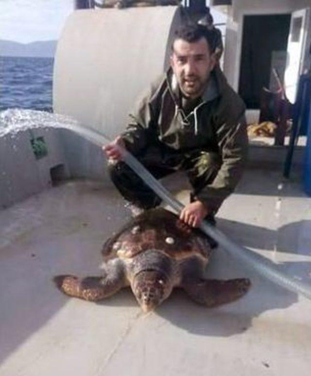 Marmara’da Bir İlk...balıkçılar Da Şok Oldu