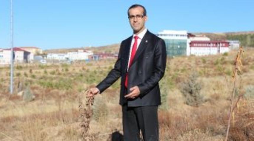 Prof. Dr. Karadağ, &Ccedil;ift&ccedil;inin Dona Karşı Alacağı Tedbirleri Anlattı