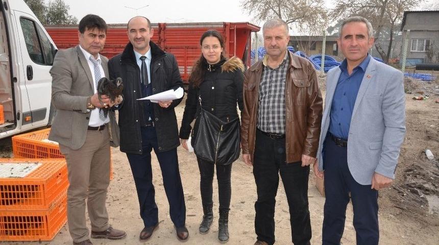 Soma Ziraat Odası&rsquo;ndan Yumurta Tavuğu Hizmeti