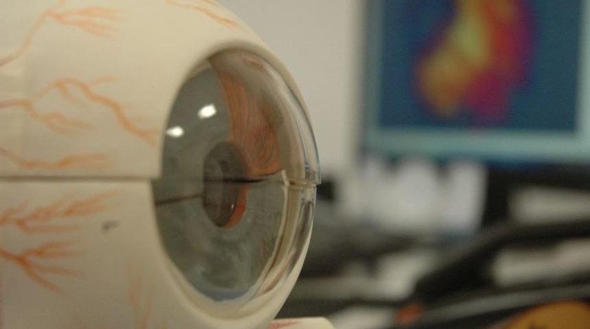 Bahar Mevsiminde Alerjik Konjonktivit Artıyor