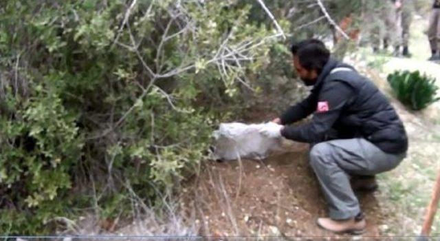 Mersin'de Pkk Cephaneliği Bulundu