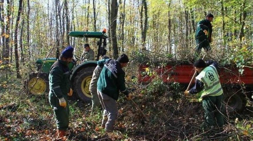 Avrupa&rsquo;nın En B&uuml;y&uuml;k Doğal Yaşam Parkı&rsquo;nda Sona Doğru