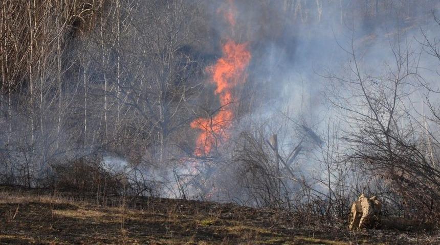 &Ccedil;alılık Yangını B&uuml;y&uuml;meden S&ouml;nd&uuml;r&uuml;ld&uuml;
