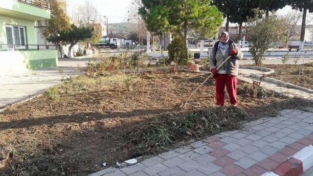 Çardak Belediyesinde Alt Ve Üst Yapı Çalışmaları