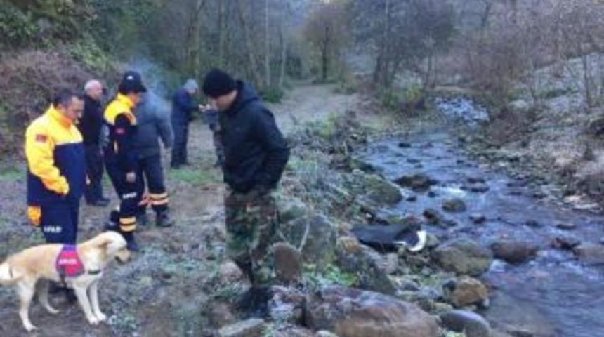 Kayıp Alzhemier Hastasının Ormanda Cesedi Bulundu