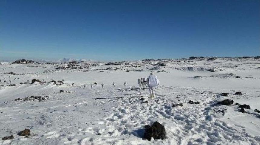 Pkk&rsquo;Nın Yuvalandığı Tend&uuml;rek&rsquo;E Mehmet&ccedil;ik Havadan Indi