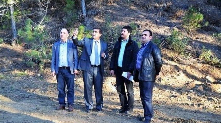 Gediz&rsquo;de Kızıl&ccedil;am Ve Kara&ccedil;am Gen&ccedil;leştirme &Ccedil;alışmaları