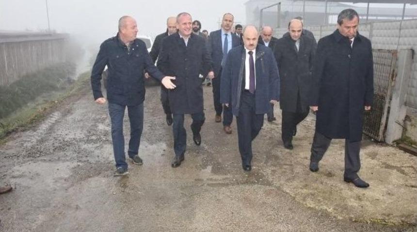 D&uuml;zce, Turizmde Atağa Kalktı