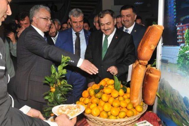 Bakan Eroğlu: Dereler Şehrin Gerdanlığı Gibi Olmalı