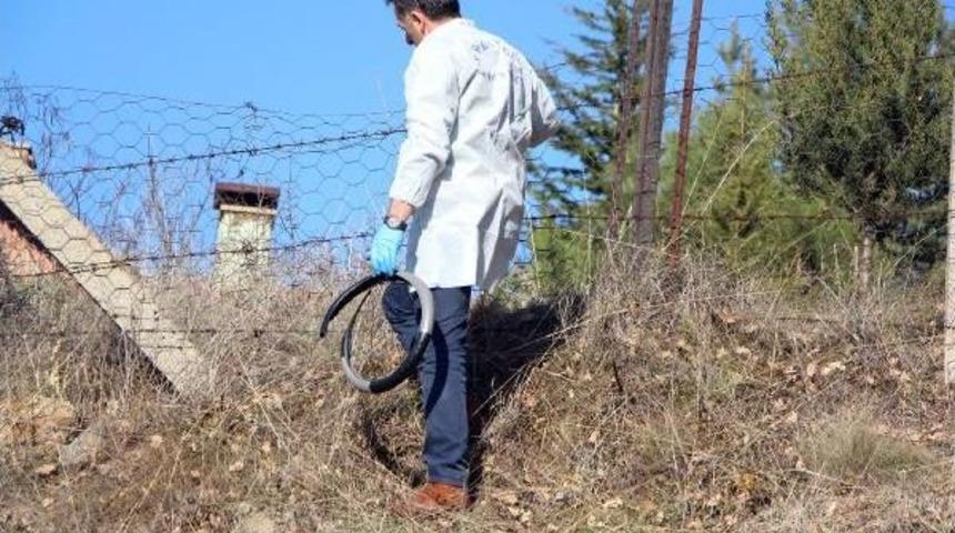 &Ccedil;alınan Otomobil Terk Edilmiş Bulundu