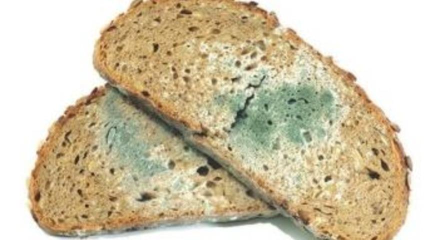 Do&ccedil;. Dr. &Ouml;zyaral: &ldquo;k&uuml;fl&uuml; Gıda Zehirdir&rdquo;