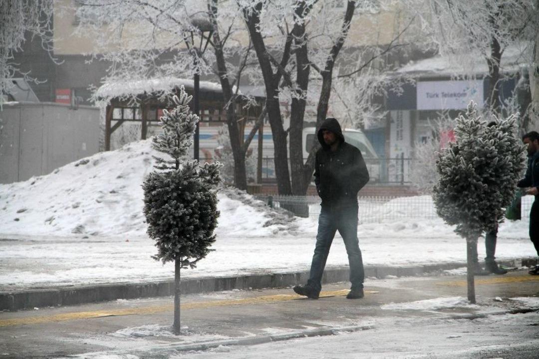 Ardahan&rsquo;da Kırağı Tutan Ağa&ccedil;lar Beyaza B&uuml;r&uuml;nd&uuml;