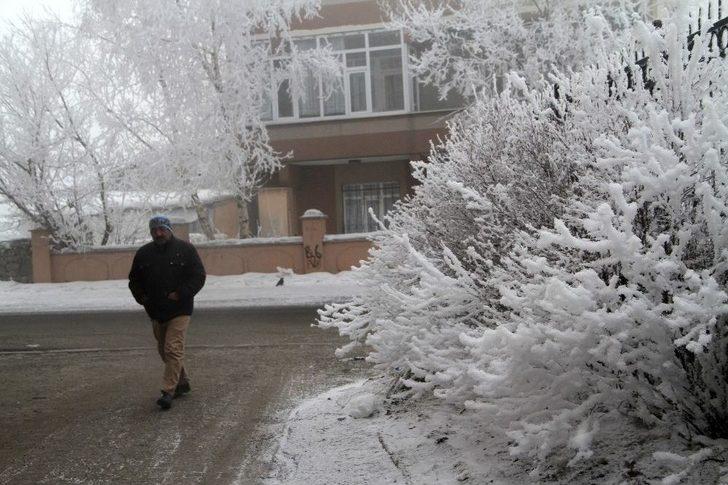 Ardahan’da Kırağı Tutan Ağaçlar Beyaza Büründü G4