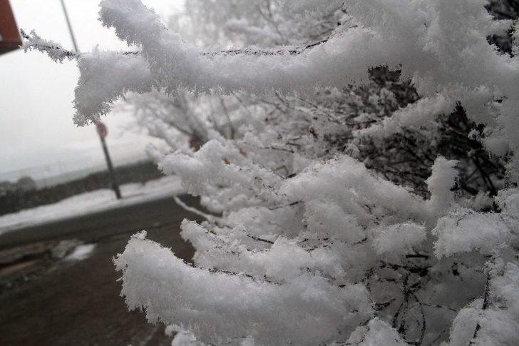Ardahan’da Kırağı Tutan Ağaçlar Beyaza Büründü G5