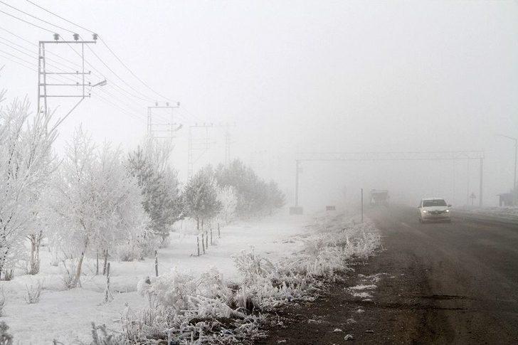 Ardahan’da Kırağı Tutan Ağaçlar Beyaza Büründü G1