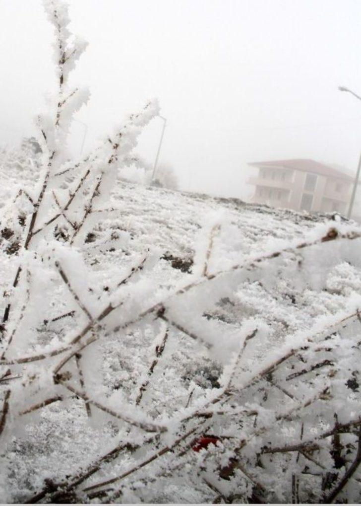 Ardahan’da Kırağı Tutan Ağaçlar Beyaza Büründü G2