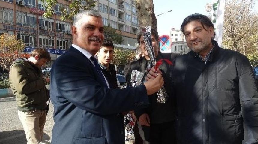 Kadına Şiddete Karşı Erkeklere Karanfil Dağıtıldı