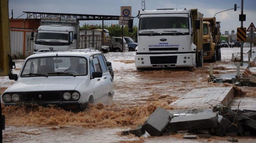 Sele Meydan Okudular